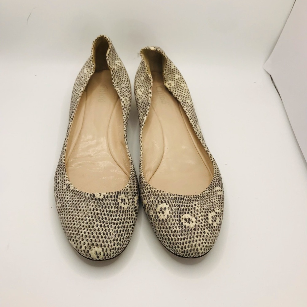 Chloe Beige Snake-Print Ballet Flats - Picture 5 of 9